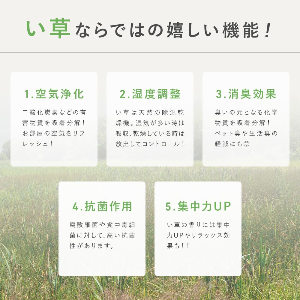 い草ラグ 畳 国産い草100% 日本製 防カビ 滑り止め 抗菌 シンプル モダン おしゃれ サラサラ 丈夫 軽量 オールシーズン ブラウン ブラック 191cm×191cm ブルー 191cm×250cm