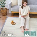 ラグ カーペット コットン インド綿 天然素材 床暖房OK 洗濯可 洗える シンプル エスニック 幾何学柄 ボーダー かわいい おしゃれ 柔らか オールシーズン 夏ラグ 寝室 ブルー 185cm×185cm