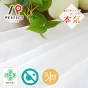 遮像レースカーテン TEIJIN 夜も見えにくい 抗カビ 採光 洗える uvカット ストライプ オーダーカーテン オーダー 2枚セット 1枚 国内縫製 ホワイト