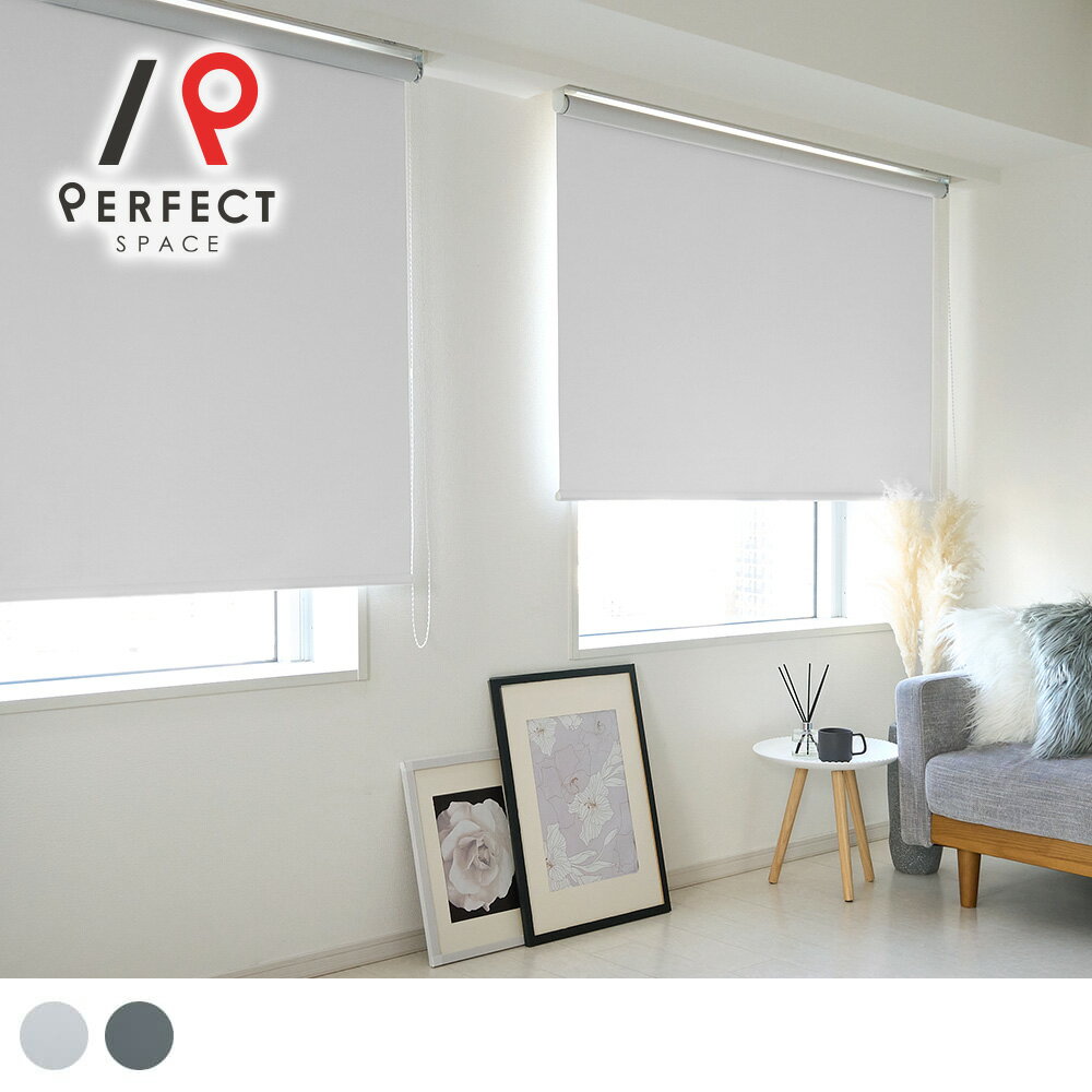 ロールスクリーン スクリーン チェーン式 天井付け 正面付け 賃貸可能 メカ メカもの インテリア ホワイト グレー ホワイトインテリア 白いロールスクリーン シンプル ナチュラル 北欧 遮光 遮熱 最安値 安い