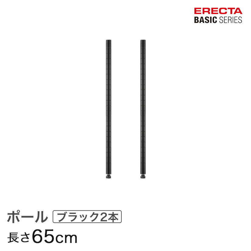 \̔(15{oח\)X`[bN J[bN [ [I Ɩp GN^[ bN x[VbNV[Y |[ ubN 2{ 65cm ERECTA p[c  B26PB2