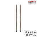 ベーシックシリーズ ヴィンテージエディション ポール シルバー 70cm 2本入り B28PVS2 パーツ(3)