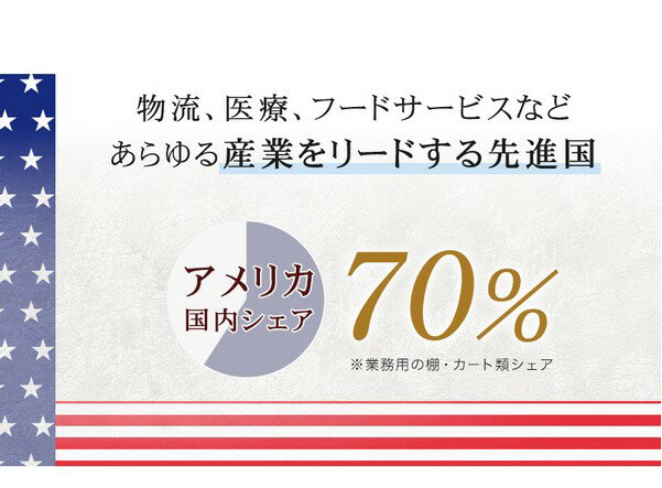 スチールラック エレクター ラック オールステンレスエレクター ステンレスシェルフ 幅75×奥行60×高さ220 5段 シルバー 送料無料 収納ラック SLS760PS2200SW5 3