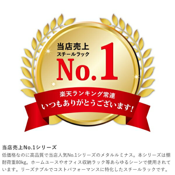 ルミナス メタルルミナス 25mm スチールラック フリーラック 幅90 奥行35 高さ180 5段 キャスター付き 送料無料 EF25-90185