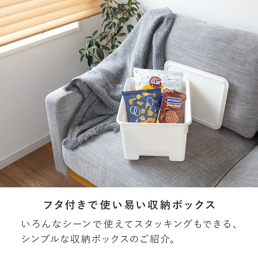 パーフェクトスペースのフタ付きプラスチック収納ボックス おもちゃ収納 衣類収納 （M）　幅30×奥40×高さ19cm 1個 BOX-KUP0013 収納 ラック 棚 ラック スチールラック｜アングル2
