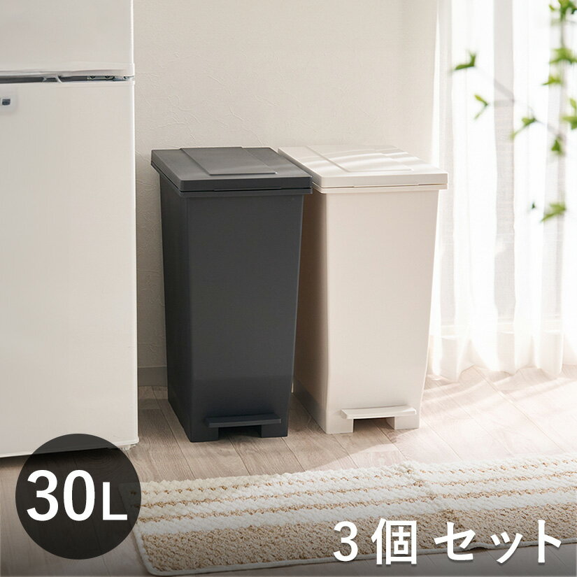 ゴミ箱 30L 3個セット エバン 密閉ペダルペール ふた付き パッキン付き EBAN ダストボックス ごみ箱 30リットル ニオイ漏れ 防止 密閉 スリム シンプル 分別 ペダル式 袋止め付き 踏みふた ペダル 臭わない dst-kup0018st3