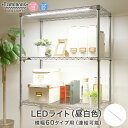 【送料無料】[共通] ルミナス LEDライト 昼白色 スチールラック 幅60 パーツ 幅48×奥行3×高さ1.5cm LED60R-N