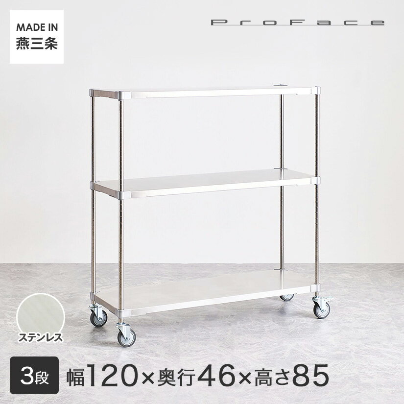 PROFACE プロフェイス SUS304ステンレス ステンレスラック 衛生 病院 研究所 施設 ワ