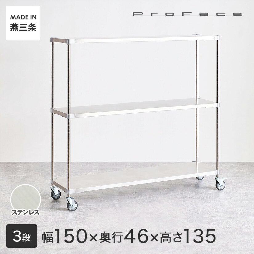【受注生産】PROFACE プロフェイス SUS304ステンレス ステンレスラック 衛生 病院 研究