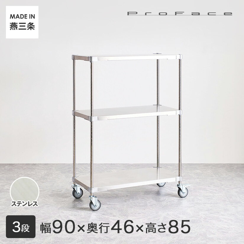 PROFACE プロフェイス SUS304ステンレス ステンレスラック 衛生 病院 研究所 施設 ワ