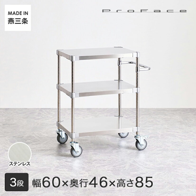 PROFACE プロフェイス SUS304ステンレス ステンレスラック 衛生 病院 研究所 施設 ハ