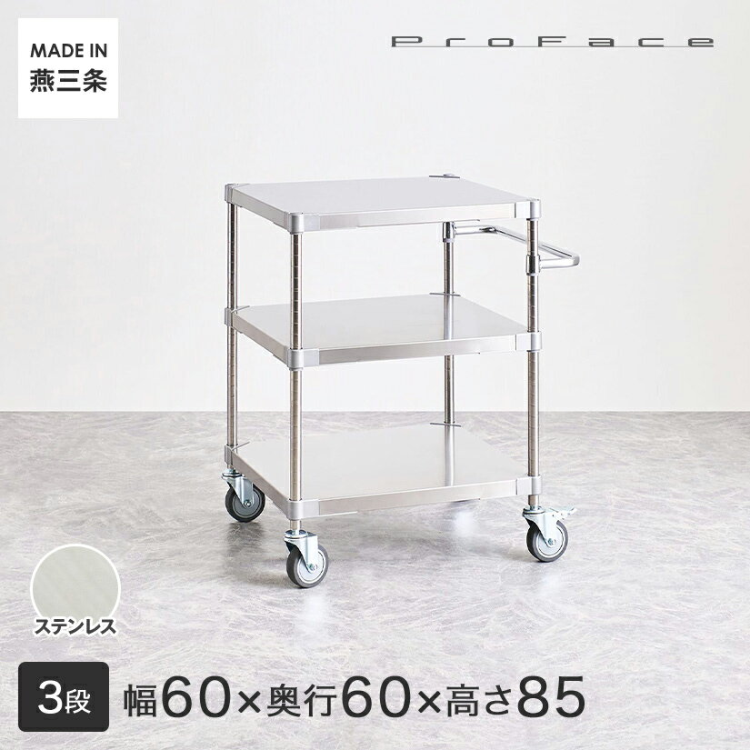 PROFACE プロフェイス SUS304ステンレス ステンレスラック 衛生 病院 研究所 施設 ハンドル付きワゴン 隙間収納 省スペース キャスター付き 移動 幅60 奥行60 高さ85 3段 (幅61.5×奥行61.5×高さ87.3cm) TSSW3-60607