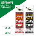 オーガニック グルテンフリー ライス パスタ 米粉 小麦不使用  225g×2個 チアシード入 有機JAS 無添加 低糖質 無農薬 タイ米 ダイエット アレルゲンフリー 低GI スパゲッティ ライスヌードル PERFECT EARTH パーフェクトアース