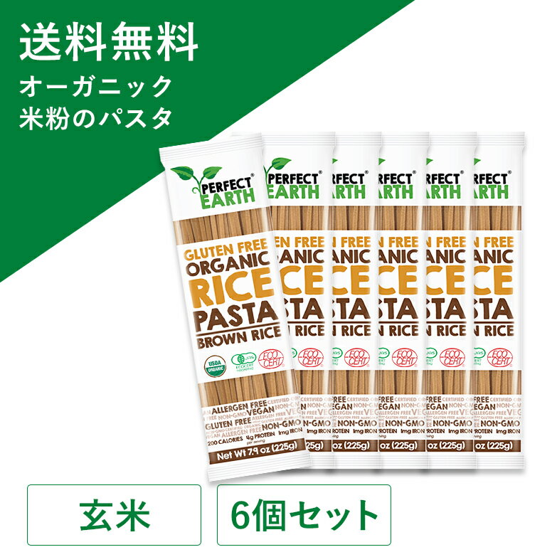 グルテンフリー ライスパスタ 米粉 無農薬 玄米 225g×6個セット 有機 JAS認定 無添加 低糖質 パスタ ジャスミン米 タイ米 ダイエット アレルゲンフリー 低GI 小麦不使用 スパゲッティ ライスヌードル PERFECT EARTH(パーフェクトアース)