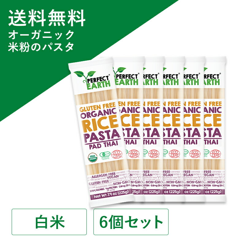 グルテンフリー ライスパスタ 米粉 無添加 白米 225g×6個セット 有機 JAS認定 低糖質 パスタ ジャスミン米 タイ米 ダイエット アレルゲンフリー 低GI 無農薬 小麦不使用 スパゲッティ ライスヌードル PERFECT EARTH(パーフェクトアース)