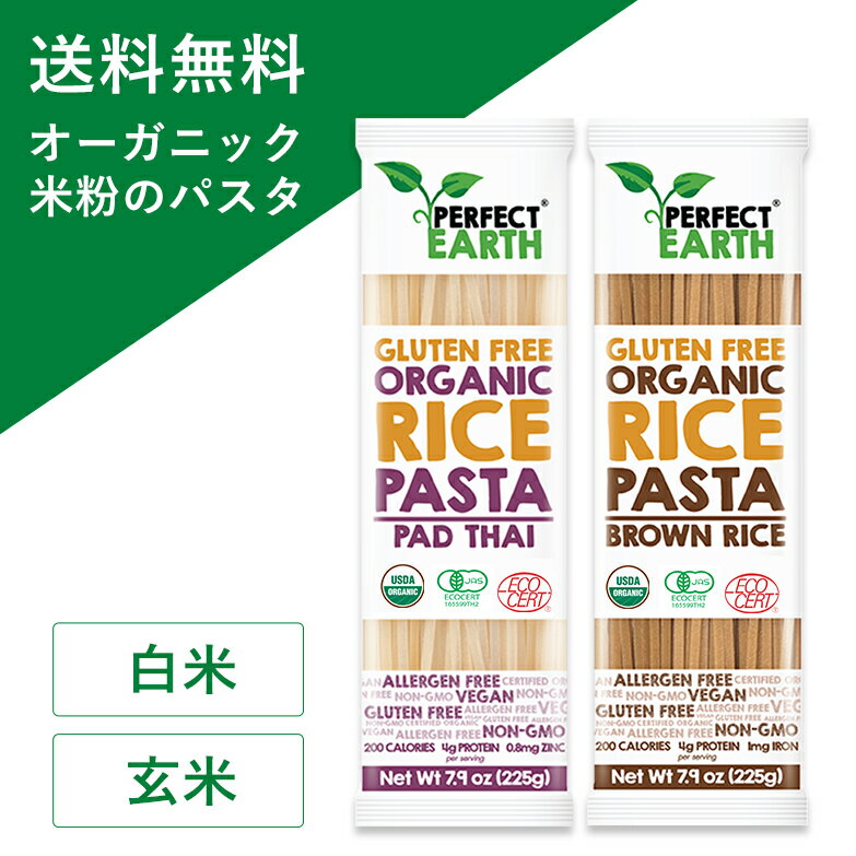 オーガニック グルテンフリー ライス パスタ 米粉 小麦不使用  225g×2個セット 有機 JAS認定 無添加 低糖質 無農薬 タイ米 ダイエット アレルゲンフリー 低GI スパゲッティ ライスヌードル PERFECT EARTH(パーフェクトアース)