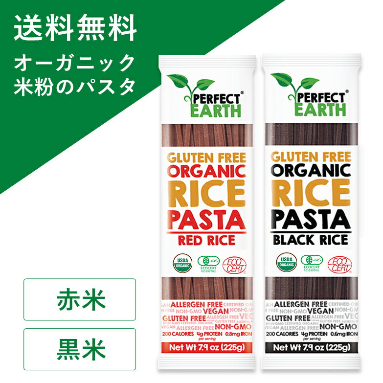 オーガニック グルテンフリー ライス パスタ 米粉 小麦不使用  225g×2個セット 有機 JAS認定 無添加 低糖質 無農薬 タイ米 ダイエット アレルゲンフリー 低GI スパゲッティ ライスヌードル PERFECT EARTH(パーフェクトアース)