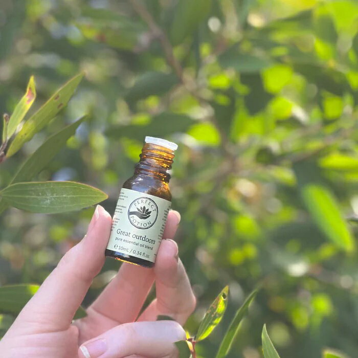 【公式】グレートアウトドア エッセンシャルオイル ブレンド 10mL / 精油 オーガニック アロマ ブレンド精油 エッセンシャルオイル オーストラリア ブッシュ アウトドア パーフェクトポーション Perfect Potion