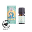 【公式】バランシング エッセンシャルオイル ブレンド 5mL / 天然精油 エッセンシャルオイル アロマオイル チャクラ バランシング ヨガ 瞑想 マインドフルネス オーストラリア パーフェクトポーション Perfect Potion(4)