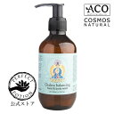 【公式】バランシング ハンド & ボディ ウォッシュ 200mL / ハンドウォッシュ ハンドソープ バス チャクラ バランシング ヨガ オーガニック パーフェクトポーション Perfect Potion