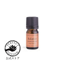 【公式】バランス エッセンシャルオイル ブレンド 5mL/ 第1チャクラ バランス 天然精油 エッセンシャルオイル アロマオイル チャクラ バランシング ヨガ ...
