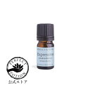 【公式】エクスプレッシブ エッセンシャルオイル ブレンド 5mL/ 第5チャクラ エクスプレッシブ スロートチャクラ 天然精油 エッセンシャルオイル アロマオイ...