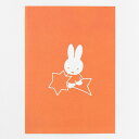 ~btB[ miffy |XgJ[histarj GREEN FLASH