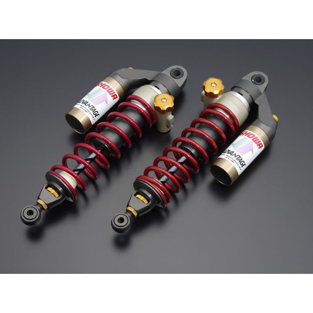 アドバンテージショーワ RS-γリヤーサスペンション（油圧イニシャルアジャスター） ZEPHYR400/X 621-K090-RG