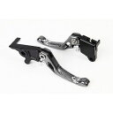 リデア 3Dショートノブアジャストブレーキレバー 左右セット(チタン) GSX-R125 GSX-S125 RI0000284