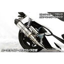 ウイルズウィン PCX(2BJ-JF81)用 アニバーサリーマフラー ユーロタイプ ステンレス仕様 PCX ビレットステー シルバー ボルトキャップ ゴールド オプション なし(2)