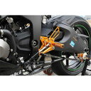 正規品／BABYFACE バックステップキット（レースシフト） カラー：ゴールド 002-K038GDR ベビーフェイス バックステップ関連パーツ バイク ニンジャZX-6R