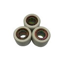 グロンドマン スーパーウエイトローラー 20×15mm 9.0g(3個入) WTS-3009-3