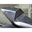 T2レーシング MC21 シートカウル タイプ1 ストリート カーボン+黒ゲル蓋 NSR250 テールユニット スモークレンズ T2-SC1-S-C-F-21
