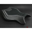 ルイモト フロント シートカバー Team Kawasaki Ninja H2 LM-3281102