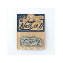 若井産業 NAILIT釘#17×19 100本袋入りステンレス NF10004