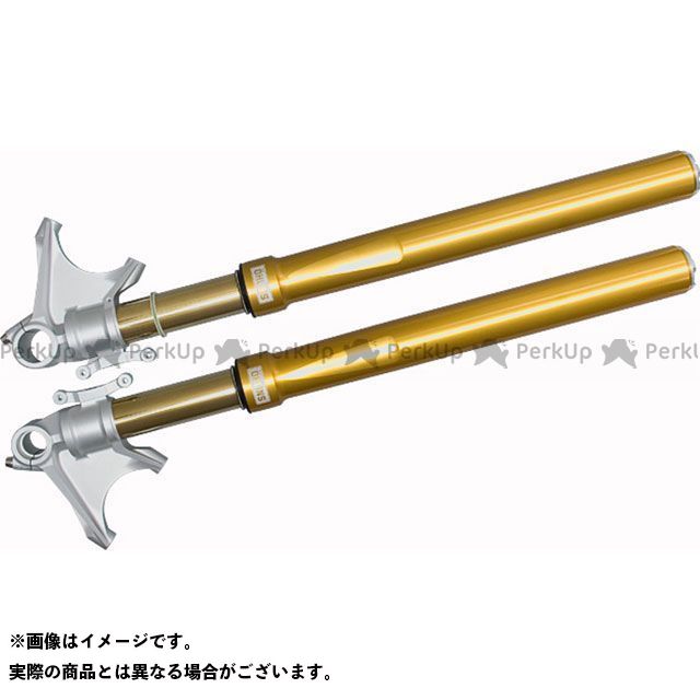 オーリンズ フロントフォーク FGRT200 DUCATI 1199 Panigale 1199 Panigale FGRT203