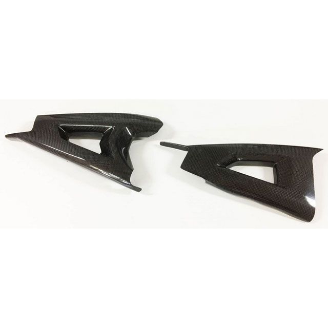 S2コンセプト Swingarm protection KAWASAKI Z