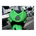プレジャー Ninjya250R デルタウインカー Ninja250R カラー メタリックディアブロブラック PK31305