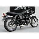 ザード 2>1 STEEL レーシング フルキット for TRIUMPH BONNEVILLE SCRAMBLER & THRUXTON (2005-2006) | ZTPH034SKC BONNEVILLE SCRAMBLER & THRUXTON…(2)