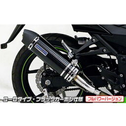 正規品／WirusWin Ninja250R（JBK-EX250K）用スリップオンマフラー ユーロタイプ フルパワーバージョン サイレンサー：チタン仕様 ウイルズウィン マフラー本体 バイク ニンジャ250R