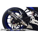 ●メーカー名：ウイルズウィン / WirusWin●商品名：YZF-R25用 スリップオンマフラー ユーロタイプ●サイレンサー：ブラックカーボン仕様 ヒートガード：ブラック仕様・サイレンサー：ステンレス仕様 ヒートガード：ブラック仕様はこちら・サイレンサー：ステンレス仕様 ヒートガード：ポリッシュ仕様はこちら・サイレンサー：チタン仕様 ヒートガード：ブラック仕様はこちら・サイレンサー：チタン仕様 ヒートガード：ポリッシュ仕様はこちら・サイレンサー：ブラックカーボン仕様 ヒートガード：ポリッシュ仕様はこちら商品の保証は、メーカー保証書の内容に準じます。●タイプユーロタイプ●材質オールステンレス製●サイズサイレンサー：100mm径 エキパイ：45mm径●音量バッフル装着時：排気音量 約86db（法定音量規制内） バッフル非装着時：排気音量 約90db●備考YZF-R25用 スリップオンマフラーです。落ち着きのあるハイクオリティーデザインでシンプルに仕上がっています。性能面では排圧によるコントロールで低速から高速までスムーズな走行を実現しています。サイレンサーはブラックカーボン仕様、チタン仕様、ステンレス仕様の3仕様をご用意いたしました。車体カラーやお客様のお好みに合わせてお選び頂けます。サイレンサー出口はスポーツタイプ、スラッシュタイプ、ユーロタイプの3タイプをご用意いたしました。違いはデザインのみで性能には変わりありませんので、お客様のお好みに合わせてお選び頂けます。消音材には、上質のグラスウールとスチールウールを使用していますので、音は、静音で重低音サウンドを醸し出します。心地よい低音を堪能できます。バッフル（消音用のパーツ）を標準装備しておりますので、2種類の音量が選択できます。テールパイプとエキパイとの接続部分を隠し、空力性能を向上させるヒートガードを標準装備しております。ポリッシュ仕上げとブラック仕上げの2タイプをご用意しておりますので、お好みでお選び下さい。取り付けは加工の必要なくボルトオンで装着できます。耐久性、耐腐食性の高いオールステンレス製です。WirusWinステッカー、WirusWInプレート付属します。●ご注意※サイレンサー部分だけ取り替えるスリップオンタイプの商品です。フルエキゾーストタイプのマフラーではありませんのでご注意ください。※平成22年4月1日より施行された認証制度に適合する認証マフラーではありません。ご理解の程よろしくお願い致します。●■WirusWinの注意書【取り付けに関するご注意】WirusWin社の商品には、一部取り扱い説明書がついておりませんので、商品の取り付けは一般の方が行う場合でも取付けに責任を持てる方が、作業をして下さい。WirusWin社の商品は、オートバイのドレスアップ、カスタムを目的として開発 、製造されております。また、徹底的なコストの削減のためにWirusWin社が余分とみなしたものは、一切入っておりません。取付けの際、オートバイ及び商品の固体差により、ワッシャ類、ステー類の移動、追加、取外し、または、キャブレターのセッティング等を行わなければならない場合があります。その際にかかる費用につきましてはお客様で負担して頂きます。万が一、WirusWin社の商品が原因で本人または他人及び物品に損害を与えた場合、万が一商品が不適合品、不良品であってもWirusWin社および当社では責任を負い兼ねます。各自様の責任にて取り扱い下さいますよう、お願い申し上げます。メーカー車種年式型式・フレームNo.その他ヤマハYZF-R25JBK-RG10J※ノーマルカウル装着車※商品掲載時の適合情報です。年式が新しい車両については、必ずメーカーサイトにて適合をご確認ください。