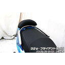 ウイルズウィン New Fighter 150ZR用 バックレスト付き 32φタンデムバー New Fighter 150ZR タイプ ブライアントタイプ バックレストサイズ スモール
