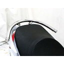 ウイルズウィン SYM RV125i用32φタンデムバー RV125i タイプ エレガントタイプ(2)