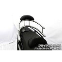 ウイルズウィン TMAX530/TMAX用 バックホールドタンデムバー TMAX TMAX530 タイプ ブライアントタイプ バックレストサイズ スモール