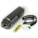 アロー KAWASAKI VERSYS 1000 12 HOMOLOGATED CARBONE RACE-TECH SILENCER WITH CARBON E...