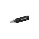 アロー BMW R 1200 R/RS 15/16 HOMOL. ALUMINIUM DARK MAXI RACE-TECH SILENCER, CARBON ...
