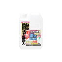 カンペハピオ 復活洗浄剤 エフロ用 1L ・00017660061010