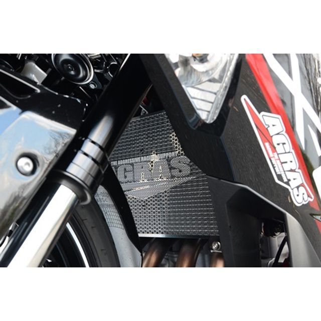 AGRAS ラジエターコアガード タイプ：Bタイプ（AGRASロゴ無し） 309-403-B00 アグラス ラジエター関連パーツ バイク ニンジャZX-25R