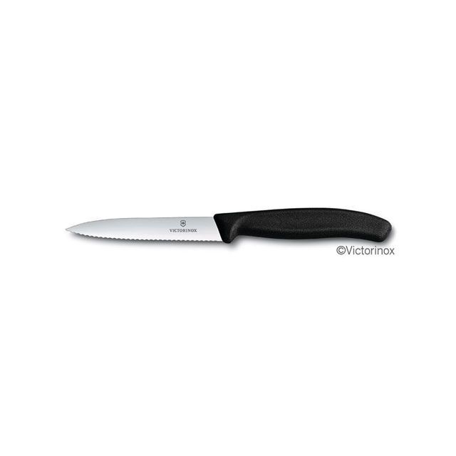 Victorinox yeB[iCt gnubN10cm 6.7733E E6.7733E rNgmbNX Opi Lv