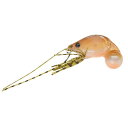 ジャクソン チヌコロリ 10g SE シバエビ 4250939